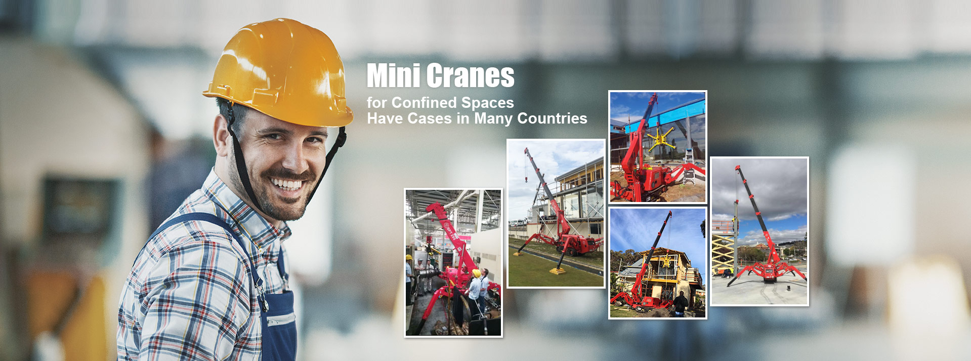 SPT mini crawler crane
