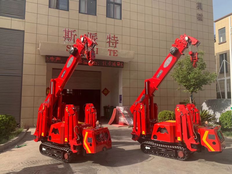 SPT299 spider crane/mini crawler crane