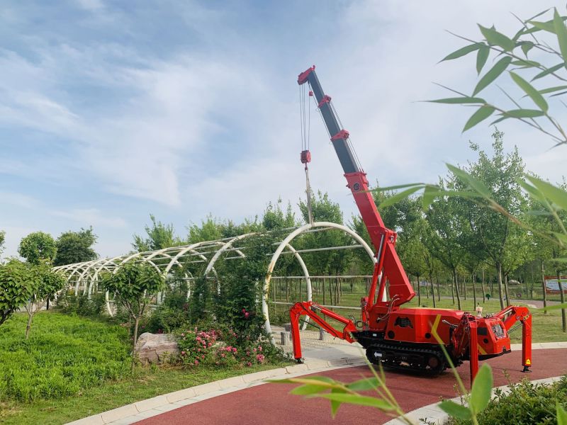 SPT299 mini crawler crane